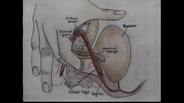 Intercourse Education Orgasm Training Movie