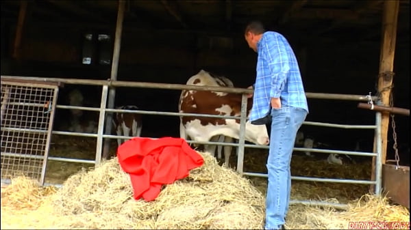 Dirty chubby cougar get hard dick and spunk on the hay