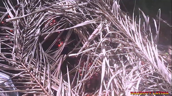 FUCKING AN AFRICAN EBONY TEENS FIRE WOOD SELLER