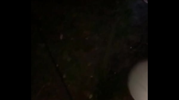 4 am going for a brief walk with my pups