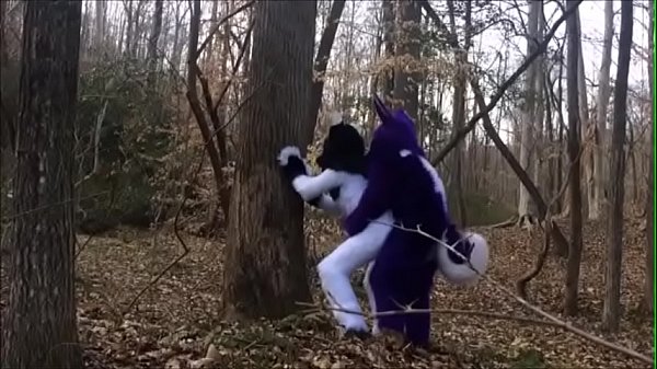 Fursuit Duo Mating in Forest