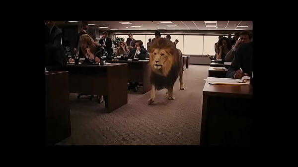 O Lobo de Wall Street (parte 1) repostando