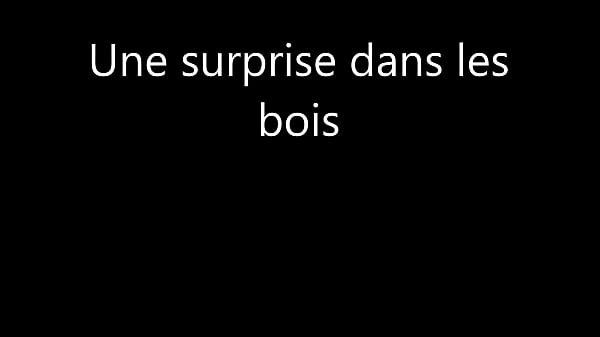 Trailer Surprise dans les bois