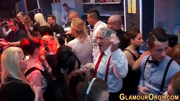 Glam honies at hookup soiree